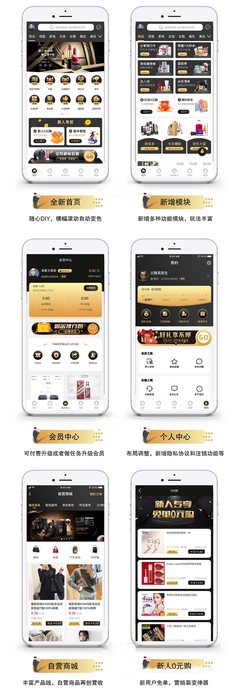 原生独立定制开发淘客APP