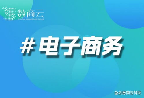 电子商城网站开发公司 数商云 打造卓越电商解决方案的领航者