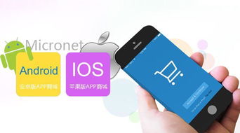 金博科技 东莞app定制开发能为企业带来什么